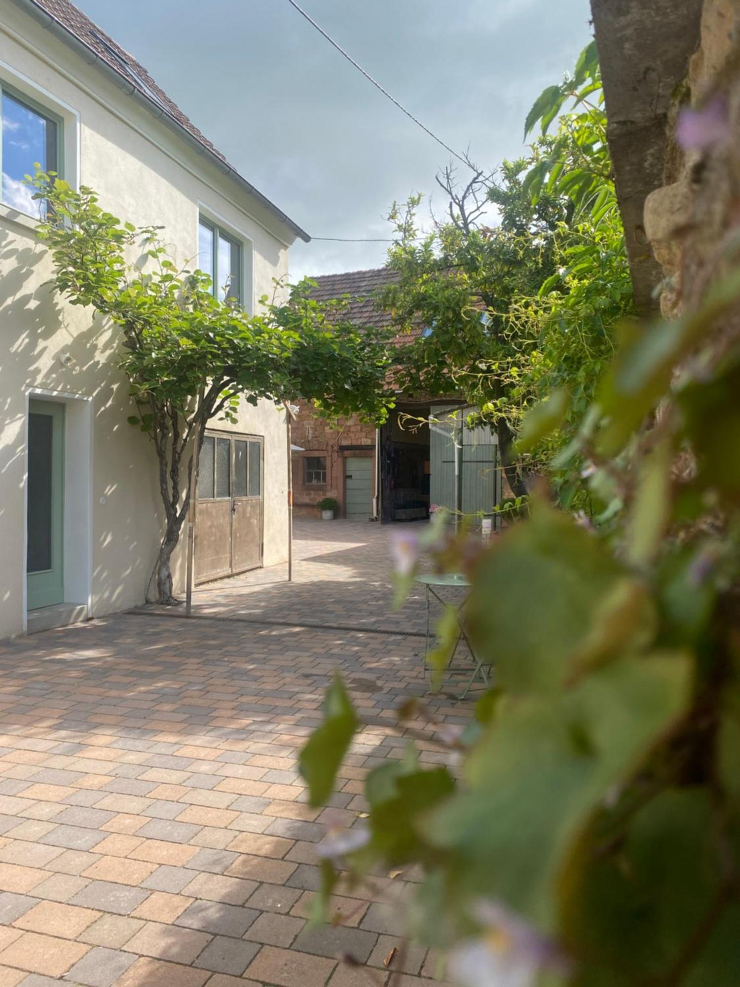 Zum Schockelgaul Gaestehaus Forst an der Weinstrasse Exteriör bild