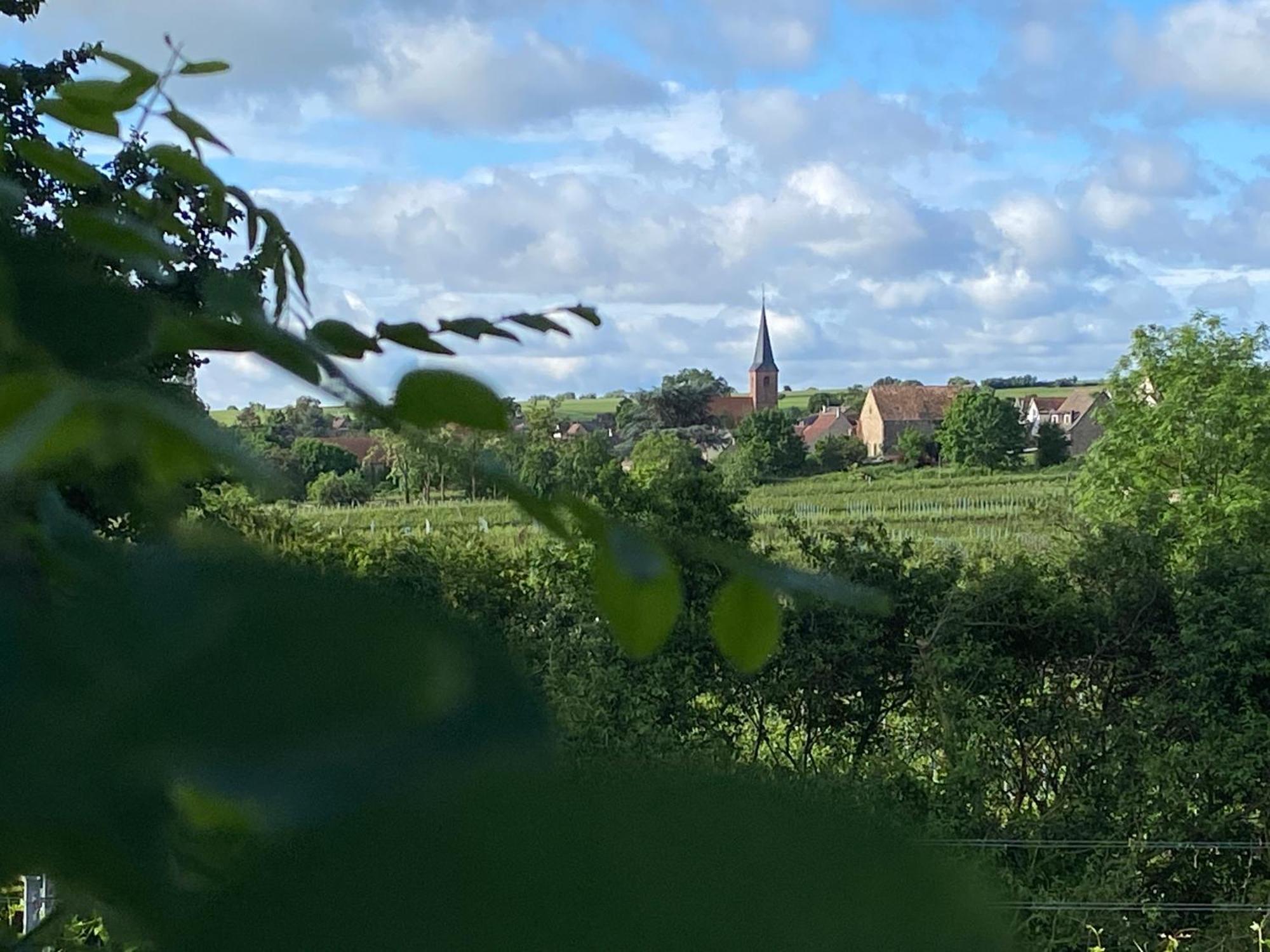 Zum Schockelgaul Gaestehaus Forst an der Weinstrasse Exteriör bild
